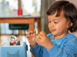 Tonies Audio Character- Playtime And Action Songs 2 Tonie(Tonies Audio Character Playtime And Action Songs 2 Tonie) -Tonies 24054223929424